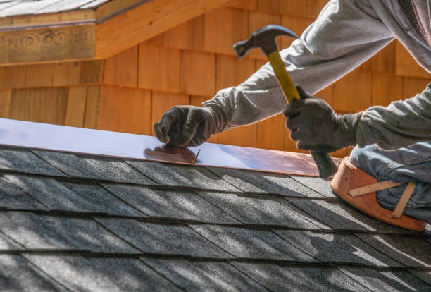 Best Roof Insulation Installation  in Webb City, MO