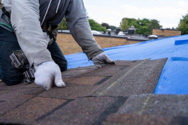 Best Metal Roofing Installation  in Webb City, MO