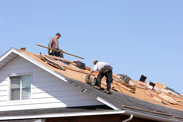 Best Solar Panel Roofing Installation  in Webb City, MO
